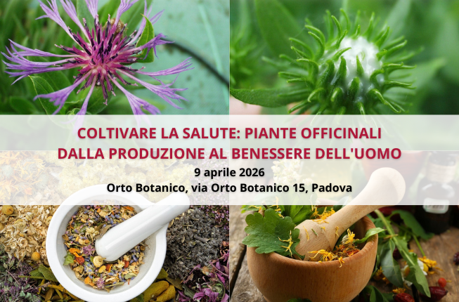 Collegamento a Coltivare la salute - Convegno